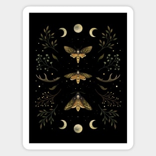 Death Head Moths Night Magnet